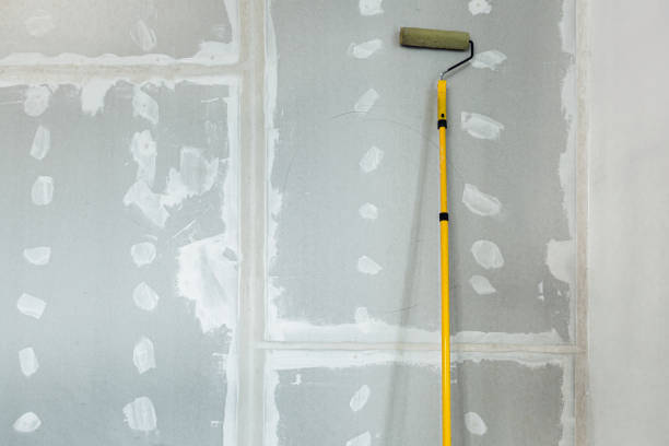 Best Mold Prevention Services  in Lake Orion, MI