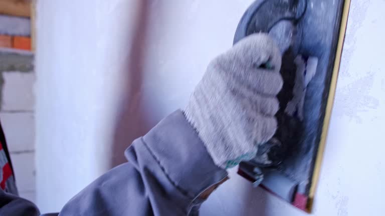 Best Black Mold Removal  in Lake Orion, MI