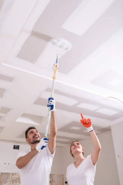 Professional Mold Removal in Lake Orion, MI