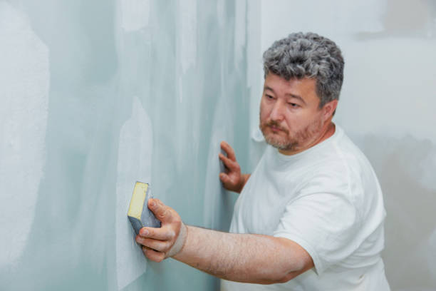 Best Real Estate Mold Inspection  in Lake Orion, MI