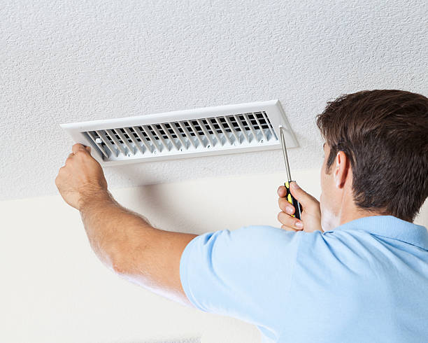  Lake Orion, MI Mold Removal Pros