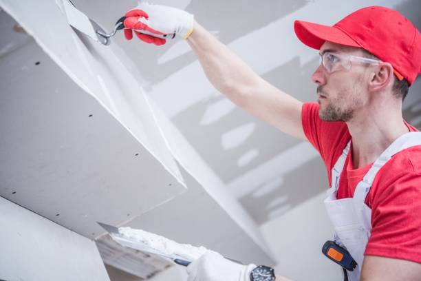 Best Water Damage & Mold Remediation  in Lake Orion, MI