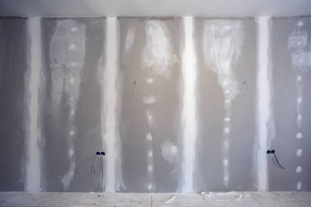 Best Industrial Mold Remediation  in Lake Orion, MI
